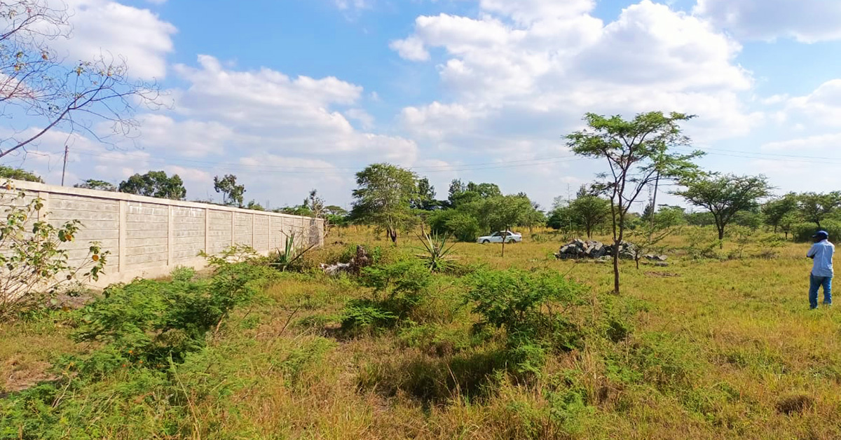 Salama Estate Makutano